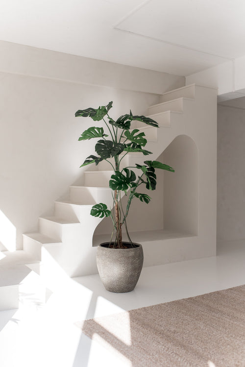 Die Kunstpflanze Monstera 210 cm steht in einem minimalistischen, sonnendurchfluteten Innenraum mit weißen Wänden, modernen Linien, einer Treppe und einem beigen Teppich. Sanftes, natürliches Licht unterstreicht das schlichte Design des Raumes.