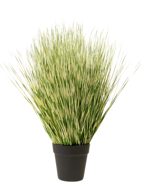 Die Kunstrasenpflanze Zebra 55 cm hat lange, dünne grün-weiß bunte grasähnliche Blätter in einem einfachen schwarzen Topf vor einem schlichten weißen Hintergrund.