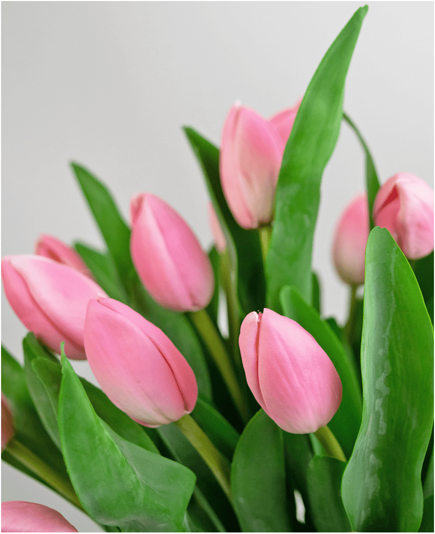 Künstlicher Blumenstrauß Tulpen in Vase Rosa 45 cm