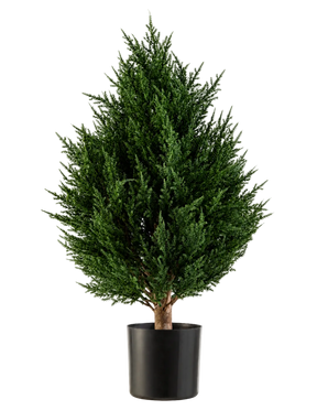 Die Kunstpflanze Conifer Deluxe UV 60 cm von Easyplants ist eine kompakte, buschige Kunstpflanze mit immergrünem Blattwerk und sattgrünem Blattwerk, präsentiert in einem schwarzen Topf vor weißem Hintergrund. Dies macht sie zu einer hervorragenden Wahl unter den künstlichen Pflanzen für den Außenbereich und sorgt mühelos für lebendiges Grün in jeder Umgebung.