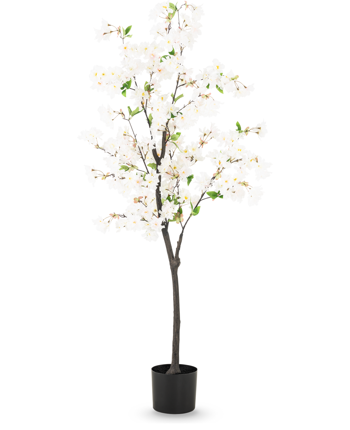 Die künstliche Kirschblüte 150 cm weiß ist ein hoher künstlicher Kirschbaum mit zarten weißen Blüten und kleinen grünen Blättern in einem schlichten schwarzen Topf, dargestellt vor einem schlichten hellen Hintergrund.