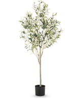 Der künstliche Olivenbaum 150 cm hat schlanke Zweige und grüne Blätter mit kleinen schwarzen Oliven in einem schlichten schwarzen Topf, ideal, um jedem Raum eine mediterrane Atmosphäre zu verleihen.