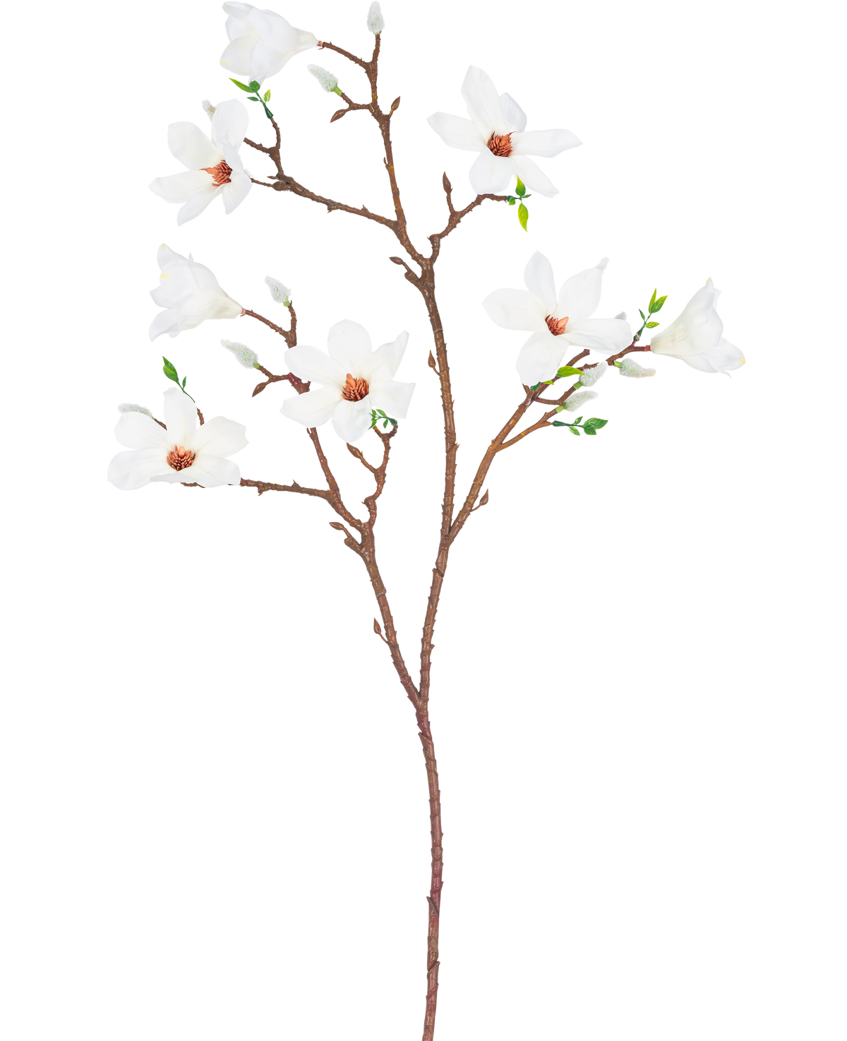 Der künstliche Magnolienzweig mit kleinen Blüten, 89 cm, weiß, hat einen einzelnen braunen Zweig mit mehreren Ablegern, mit mehreren offenen weißen Blüten mit einem hellrosa Herzen und kleinen grünen Blättern vor einem schlichten weißen Hintergrund.