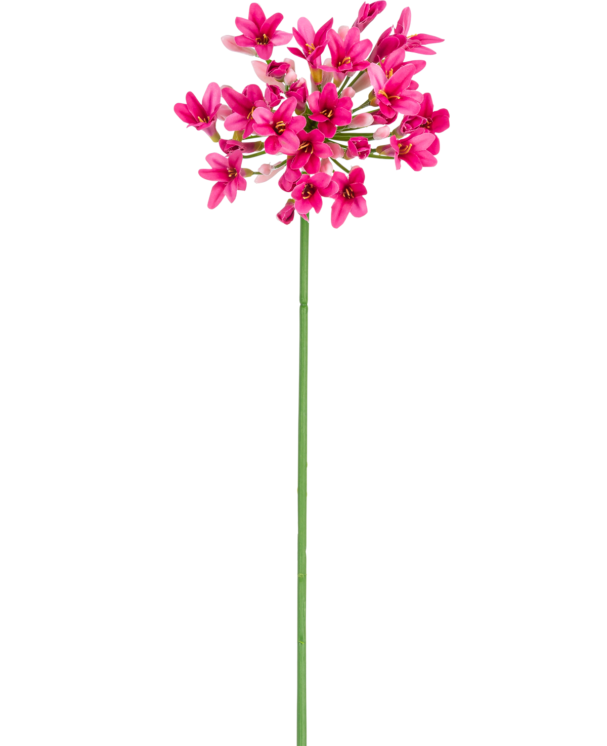Die künstliche Blume Agapanthus 77 cm rosa hat einen einzelnen grünen Stiel mit mehreren Büscheln leuchtend rosa Blüten mit jeweils mehreren Blütenblättern vor einem schlichten weißen Hintergrund.