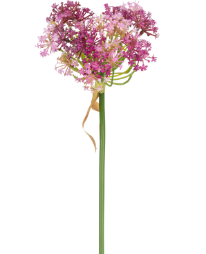 Die Kunstblume Allium 60 cm lila hat einen hohen grünen Stiel mit einer herzförmigen Gruppe kleiner rosa und violetter Blüten, die durch ein dünnes, getrocknetes hellbraunes Blatt, das locker um den Stiel sitzt, vor einem weißen Hintergrund akzentuiert wird.