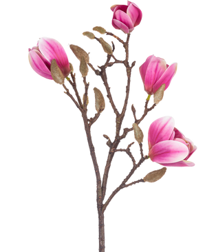 Die Kunstblume Magnolie 50 cm rosa ist ein brauner künstlicher Magnolienzweig mit verschiedenen rosa und weißen Blüten und flauschigen Knospen, dargestellt vor einem weißen Hintergrund.