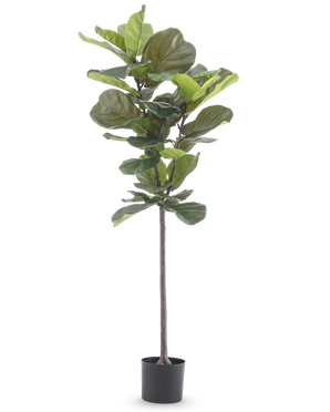 Die Kunstpflanze Ficus Tabakpflanze Deluxe 155 cm hat breite grüne Blätter und wird in einem schwarzen Topf geliefert, dargestellt vor einem schlichten weißen Hintergrund.