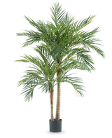Die Kunstpflanze Areca 180 cm ist eine hohe Kunstpalme mit mehreren schlanken Stämmen und langen grünen Blättern, in einem schlichten schwarzen Topf vor weißem Hintergrund.