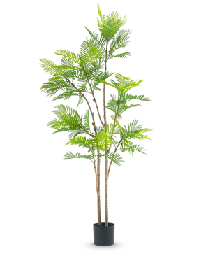 Die künstliche Farnpflanze 210 cm ist eine hohe Kunstpflanze mit mehreren schlanken braunen Stielen und üppig grünen, farnähnlichen Blättern vor einem schlichten weißen Hintergrund.