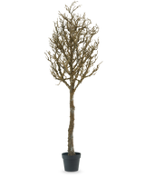 Der Dekobaum Art mit Ästen 180 cm ist ein kahler, blattloser Baum mit vielen Ästen in einem schwarzen Kunststofftopf vor einem schlichten weißen Hintergrund.