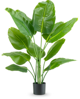 Die Kunstpflanze Strelitzia Real Touch Deluxe 120 cm hat breite, glänzend grüne Blätter an langen Stielen, in einem schlichten schwarzen Topf und vor einem schlichten weißen Hintergrund.