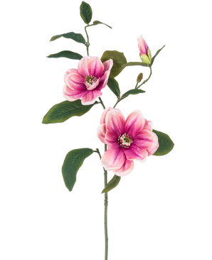 Die Kunstblume Magnolie 82 cm rosa/weiß hat einen einzelnen Stiel mit zwei großen rosa-weißen Magnolienblüten, einer Knospe und mehreren dunkelgrünen Blättern vor einem schlichten weißen Hintergrund.