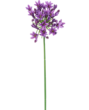Ein einzelner langer grüner Stiel mit kleinen, sternförmigen violetten künstlichen Blumen Agapanthus 77 cm, violette Blüten blühen an der Spitze, isoliert auf weißem Hintergrund.