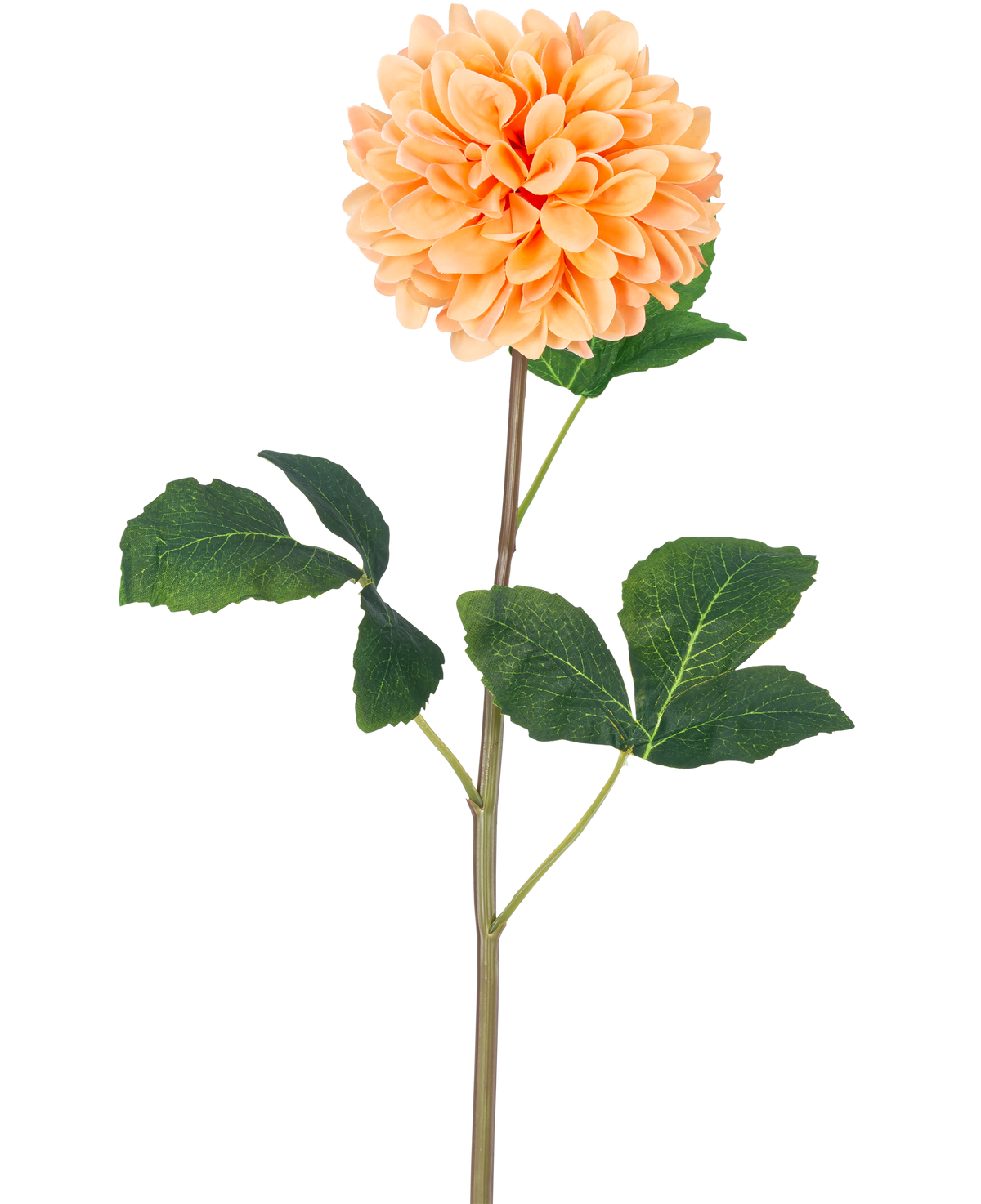 Die künstliche Blumen-Dahlie Real Touch Peach 73 cm hat eine einzelne pfirsich-orangefarbene Dahlie mit vielen Blütenblättern an einem langen grünen Stiel und mehreren großen grünen Blättern mit Textur vor einem schlichten weißen Hintergrund.