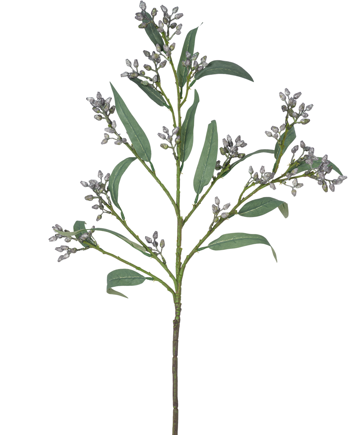Der künstliche Zweig Eukalyptusbeere 78 cm grau hat einen einzelnen grünen Zweig mit langen, schmalen Blättern und Büscheln kleiner, gräulicher Knospen, dargestellt vor einem weißen Hintergrund.