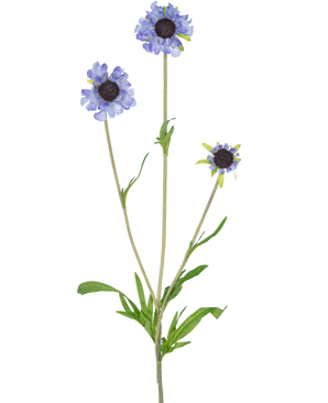 Die Kunstblume Scabiosa 63 cm blau hat einen einzelnen grünen Stiel mit drei Zweigen, die jeweils mit einer hellviolett-blauen, gänseblümchenähnlichen Blüte gekrönt sind und in der Mitte dunkle, längliche grüne Blätter haben, alles vor einem schlichten weißen Hintergrund.