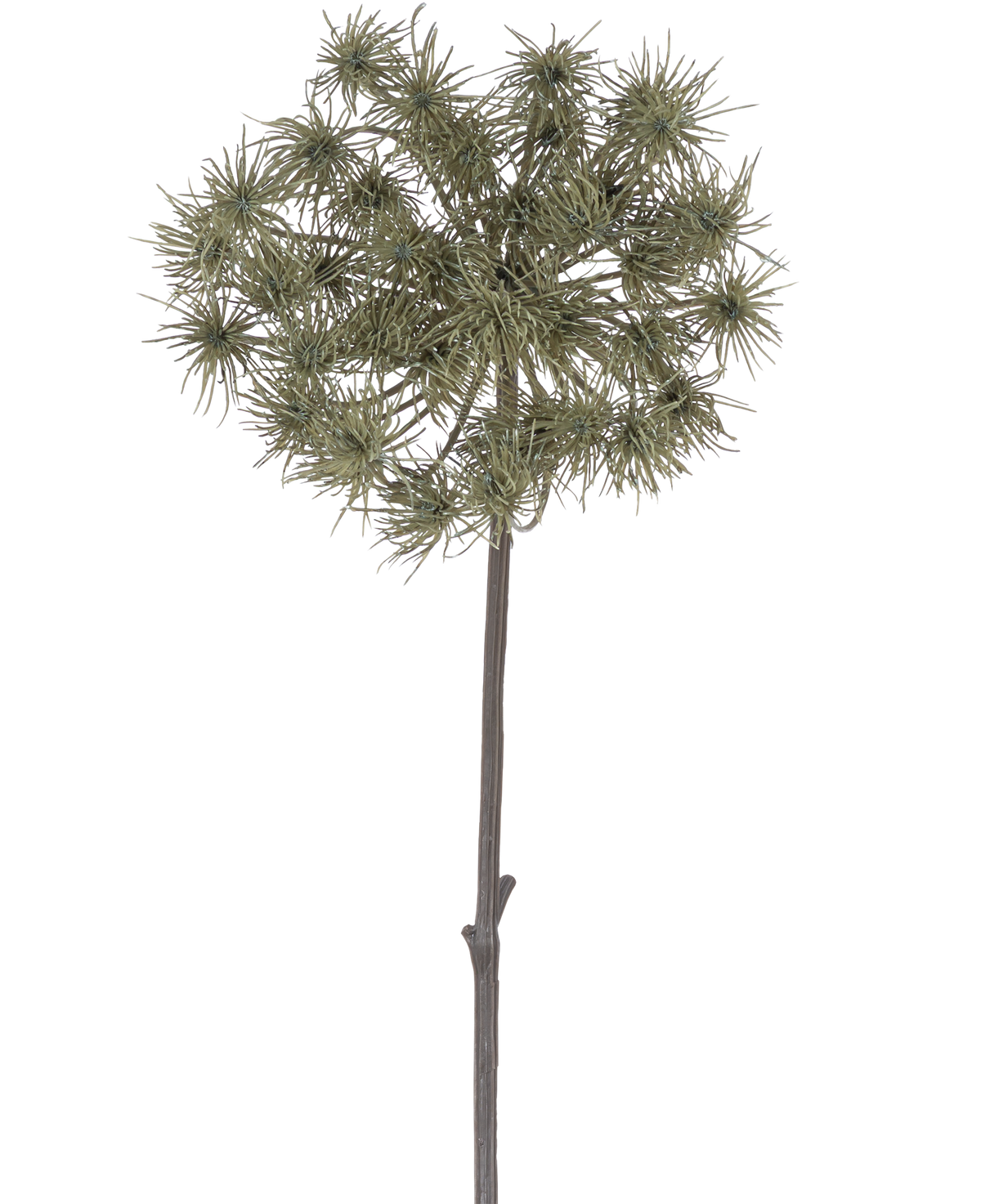 Die künstliche Blume Bärenklau 100 cm ist ein einzelner künstlicher Stiel mit Büscheln dünner, grüngrauer Blütenköpfe, die aufrecht vor einem schlichten weißen Hintergrund stehen.