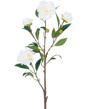 Die künstliche Blumenkamelie 80 cm weiß hat einen einzelnen braunen Stiel mit mehreren grünen Blättern und mehreren weißen Kamelienblüten, einige blühen und andere in Knospenform, alle vor einem schlichten weißen Hintergrund.