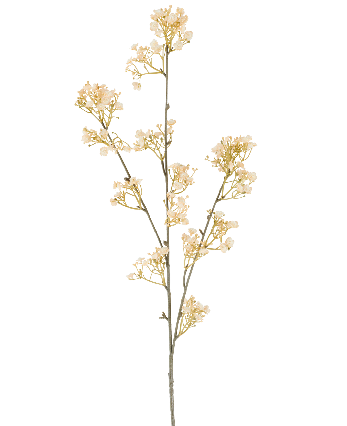 Ein einzelner Stiel einer künstlichen Gipsblume, 106 cm, creme/braun, mit kleinen, anmutigen cremefarbenen und braunen Blüten, die sich verzweigen, auf einem weißen Hintergrund.