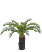 Die künstliche Pflanze Baby Cycas Palm 60 cm hat lange, gebogene grüne Blätter und einen dicken, strukturierten braunen Stamm, präsentiert in einem Topf vor einem schlichten weißen Hintergrund.