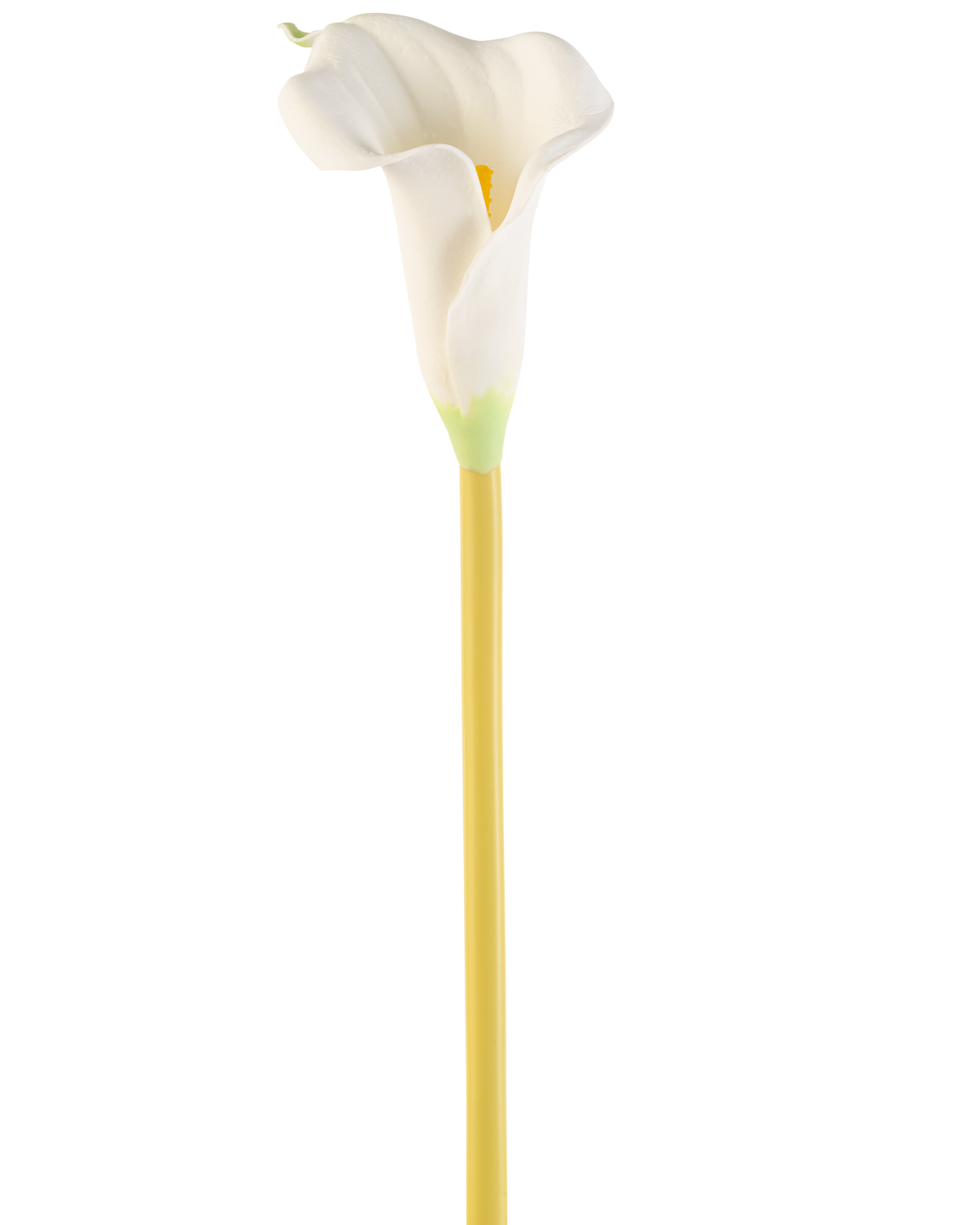 Die künstliche Calla-Blume 64 cm in Creme ist eine einzelne künstliche weiße Calla-Lilie mit einem langen gelben Stiel vor einem schlichten weißen Hintergrund.