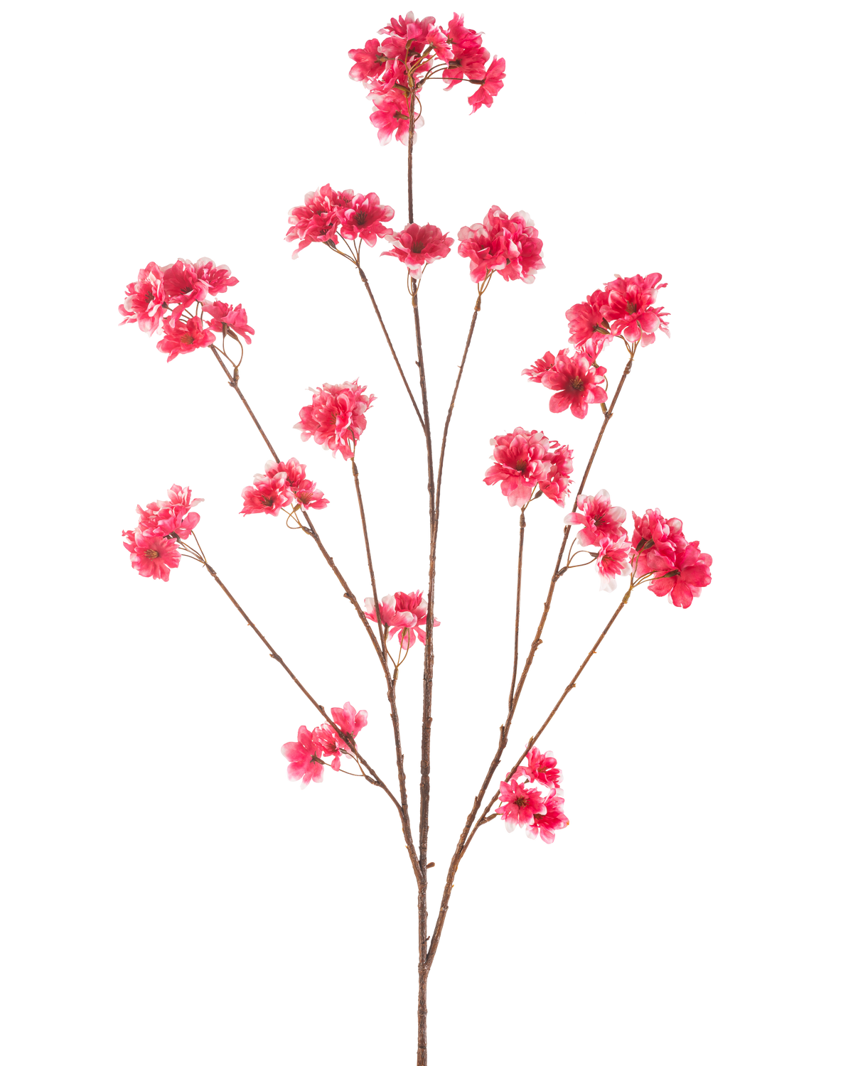 Die künstliche Blume Kirschblüte 130 cm in Fuchsia hat einen einzelnen Stiel mit mehreren dünnen braunen Zweigen, die jeweils mit Büscheln leuchtend fuchsiafarbener künstlicher Weihnachtsblüten vor einem schlichten weißen Hintergrund verziert sind.