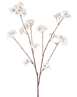 Die cremefarbene Kunstblume Kirschblüte 114 cm hat einen braunen Stiel, der sich in kleinere Stiele verzweigt, die jeweils mit zarten Kunstblumen in einem cremeweißen Farbton vor einem schlichten weißen Hintergrund verziert sind.