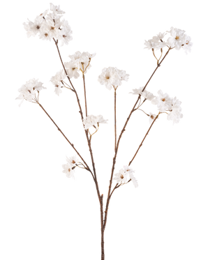Die cremefarbene Kunstblume Kirschblüte 114 cm hat einen braunen Stiel, der sich in kleinere Stiele verzweigt, die jeweils mit zarten Kunstblumen in einem cremeweißen Farbton vor einem schlichten weißen Hintergrund verziert sind.
