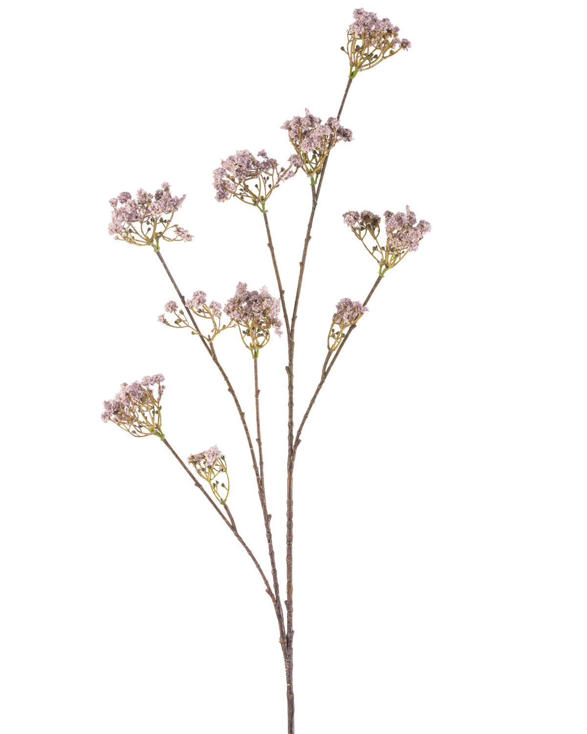 Die künstliche Blume Baby's Breath 112 cm lila hat einen schlanken Stiel mit mehreren Zweigen, die jeweils mit Büscheln zarter hellvioletter Blüten vor einem schlichten weißen Hintergrund verziert sind.