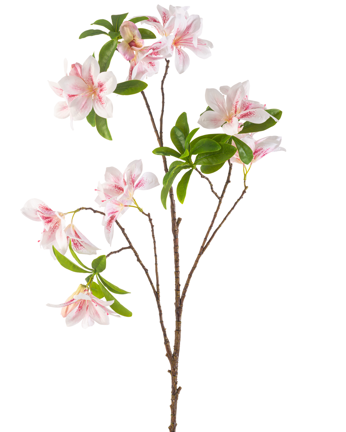 Die künstliche Blumenbegonie 99 cm in Rouge hat einen einzelnen Zweig mit mehreren rosa und weißen Begonienblüten und Büscheln grüner Blätter vor einem weißen Hintergrund.
