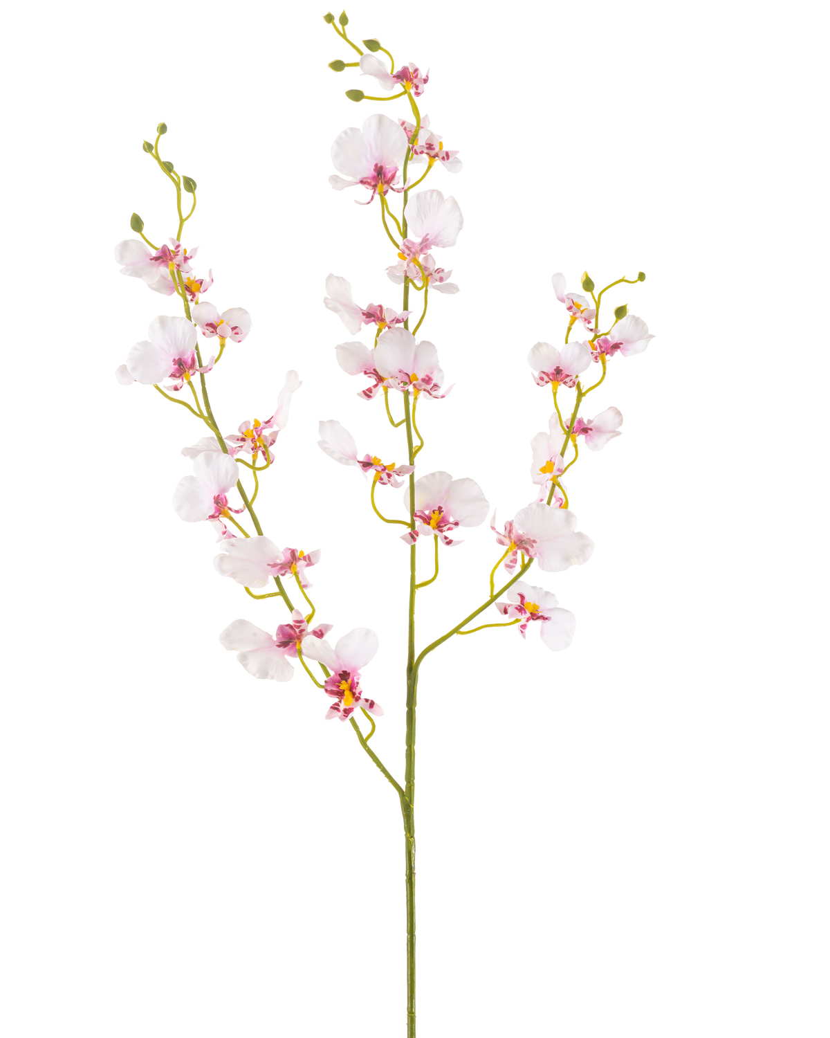 Die künstliche Blumenorchidee 98 cm in Rouge hat einen einzigen langen Stiel mit mehreren zarten hellrosa Orchideenblüten und -knospen, dünnen grünen Zweigen und kleinen ovalen Blättern, alles vor einem schlichten weißen Hintergrund.