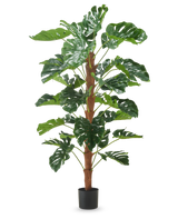 Die Kunstpflanze Monstera 150 cm ist eine hohe Kunstpflanze mit großen grünen, gespaltenen Blättern, die in einem kleinen schwarzen Topf auf einem schlichten weißen Hintergrund präsentiert wird.