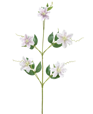 Die Kunstblume Celematis 78 cm weiß hat einen einzelnen grünen Stiel mit fünf weißen sternförmigen Blüten, mehreren grünen Blättern, die symmetrisch angeordnet sind, und gekräuselten Ranken. Der Hintergrund ist schlicht weiß.