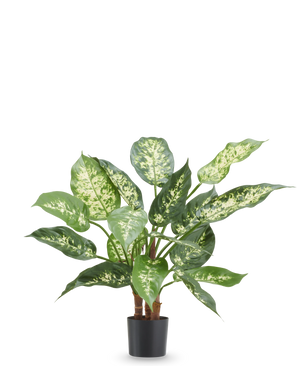Kunstpflanze Dieffenbachia 40 cm, feuerhemmende Kunstpflanze mit leuchtend grünen und weißen Blättern im schwarzen Topf.