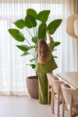 Eine Person mit langen, gewellten Haaren und einem grünen Anzug steht drinnen und greift nach oben, um die großen Blätter der Kunstpflanze Strelitzia 240 cm real touch zu verstellen, die neben einem Esstisch mit Holzstühlen und durchscheinenden Vorhängen im Hintergrund aufgestellt ist.