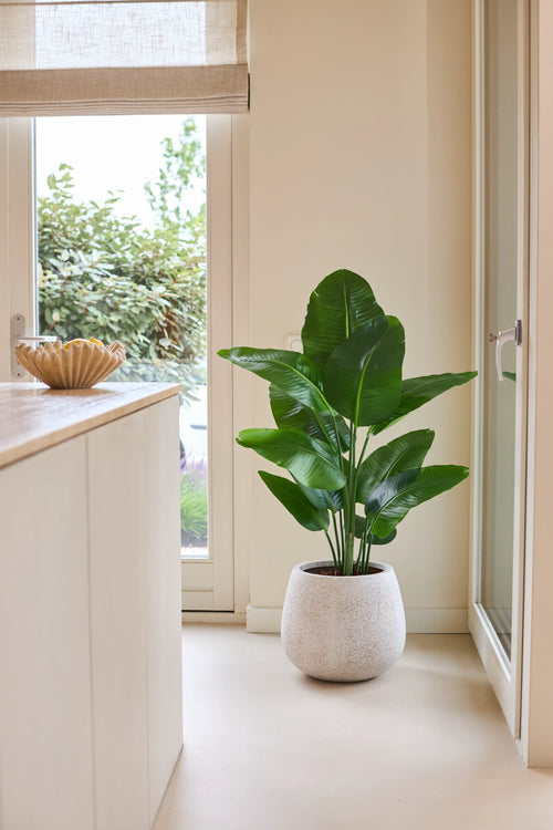 Eine künstliche Strelitzia Real Touch Deluxe-Pflanze von 120 cm in sattem Grün steht auf einem hellen Boden neben einer Glastür in einem hellen, modernen Raum mit neutralen Wänden und einer Holztheke.