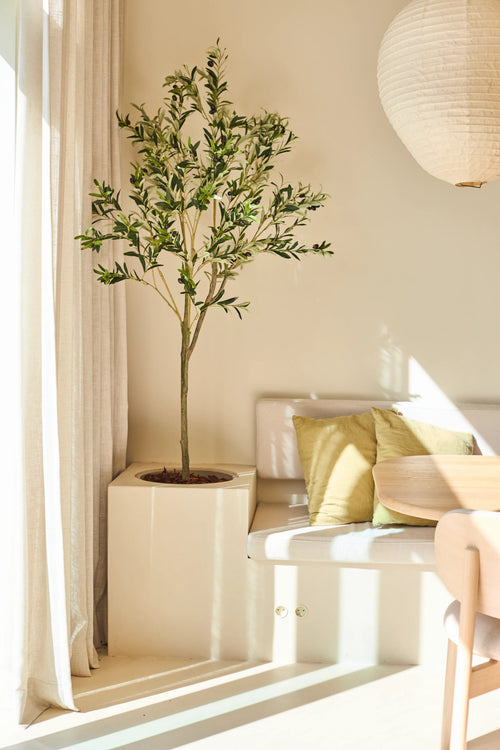 Der 150 cm große künstliche Olivenbaum steht neben einer weißen Bank mit grünen und beigen Kissen, neben einem runden Holztisch und einer hängenden Papierlampe in einem sonnendurchfluteten, minimalistischen Raum.