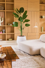 Ein modernes Wohnzimmer mit einem hellbeigen Sofa, einer künstlichen Strelitzia-Pflanze von 210 cm mit naturgetreuem Aussehen, die für einen lebendigen grünen Akzent sorgt, einem großen Couchtisch aus braunem Glas und eingebauten Holzregalen, die mit dekorativen Gegenständen und Keramik dekoriert sind. Diese pflegeleichte Kunstpflanze Strelitzia bringt natürliche Schönheit in den Raum, ohne dass Pflege erforderlich ist.
