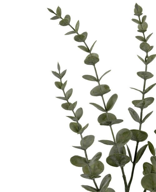 Drei künstliche Eukalyptus-Yugali-Stängel (71 cm) mit runden grünen Blättern, diagonal auf weißem Hintergrund angeordnet.