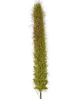 Eine Nahaufnahme des künstlichen Rohrkolben-Zwiebelgras-Topfes (150 cm, feuerhemmend) zeigt seinen lebensechten, aufrechten grünen Fuchsschwanz-Samenkopf mit kleinen Borsten und dichten Samen vor einem schlichten weißen Hintergrund.