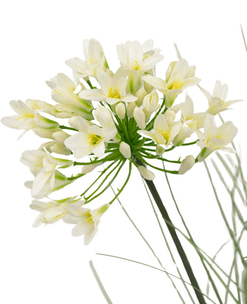 Eine Nahaufnahme des 90 cm großen feuerhemmenden künstlichen Rasens aus weißem Agapanthus-Zwiebelgras zeigt zarte weiße Blüten mit gelber Mitte auf langen grünen Stielen, umgeben von zarten Blättern, vor einem schlichten weißen Hintergrund.