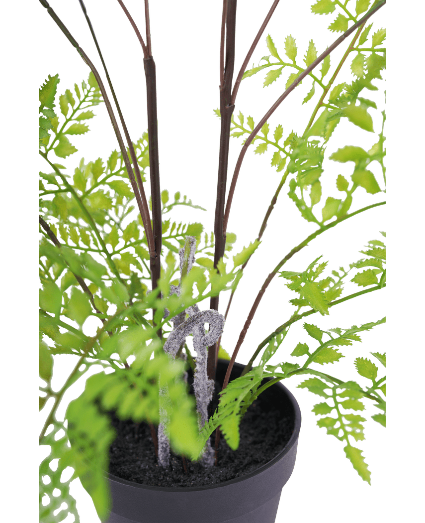 Künstliche Farnpflanze 85 cm