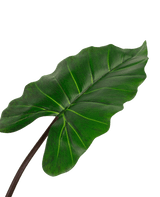 Künstliche Pflanze Alocasia 180 cm