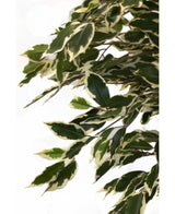 Künstliche Pflanze Ficus Fur 150 cm