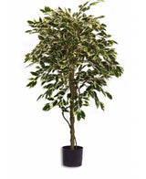 Künstliche Pflanze Ficus Fur 150 cm