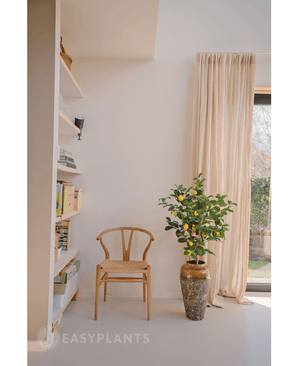 Künstlicher Zitronenbaum 90 cm