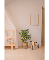 Künstlicher Zitronenbaum 90 cm
