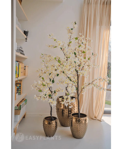 Drei künstliche Bougainvillea-Pflanzen mit einer Höhe von 180 cm, jeweils in einem Topf mit Goldstruktur, werden in einem sonnendurchfluteten Raum mit beigen Vorhängen und einem Bücherregal platziert und schaffen eine elegante und helle Innenatmosphäre.