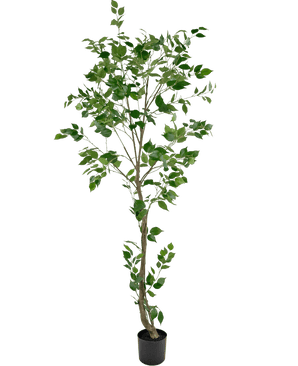 Die Kunstpflanze Ficus 210 cm ist ein hoher Kunstbaum mit mehreren schlanken Zweigen und sattgrünen Blättern in einem kleinen schwarzen Topf vor einem schlichten weißen Hintergrund.