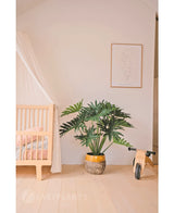 Ein gemütliches, minimalistisches Kinderzimmer mit einer hölzernen Wiege und einem Baldachin links, einer künstlichen Philodendron-UV-Pflanze 90 cm als Prunkstück in der Mitte, rechts einem hölzernen Spielzeugfahrrad und darüber einem einfachen Line-Art-Druck.
